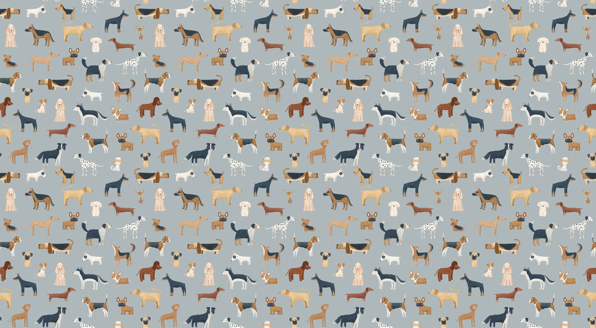 Blue Canine Medley Cute Dog Wallpaper in your room — zoomed