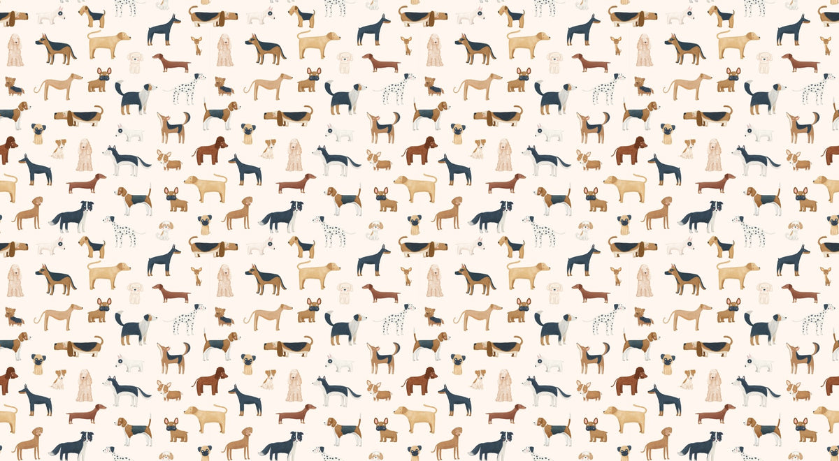 Funny Dog Wallpaper in your room