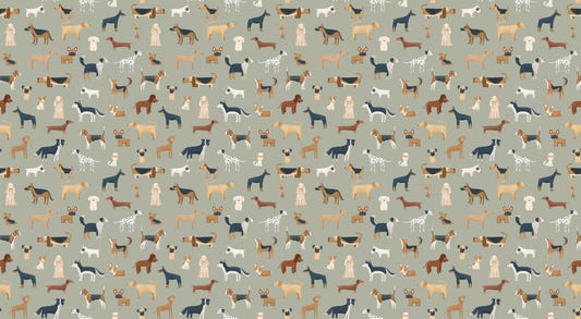 Diverse Dog Breeds Wallpaper