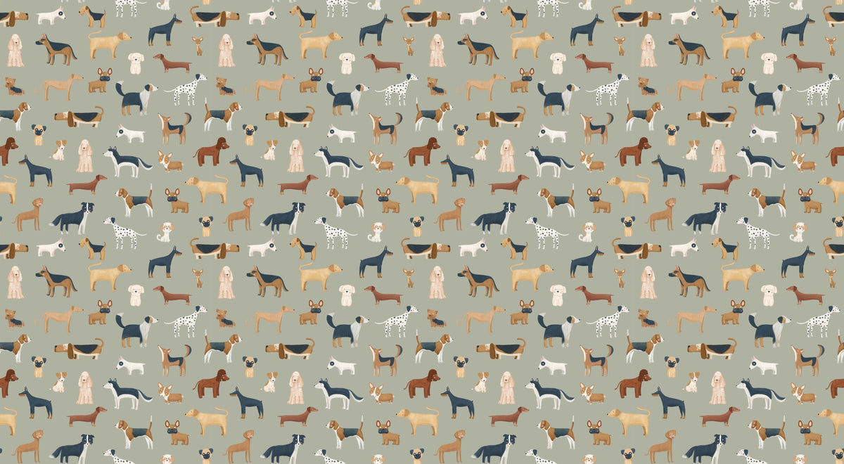 Diverse Dog Breeds Wallpaper in your room