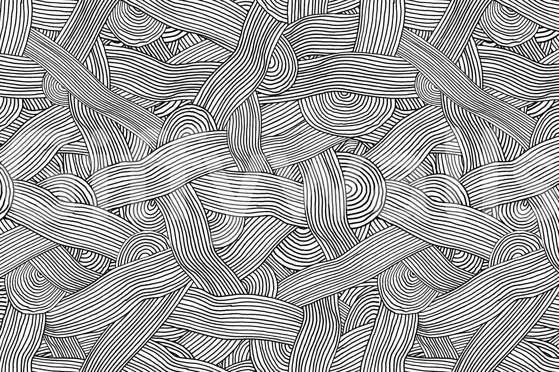 Monochromatic Striped Maze wall mural close-up showing the interwoven black and white line pattern