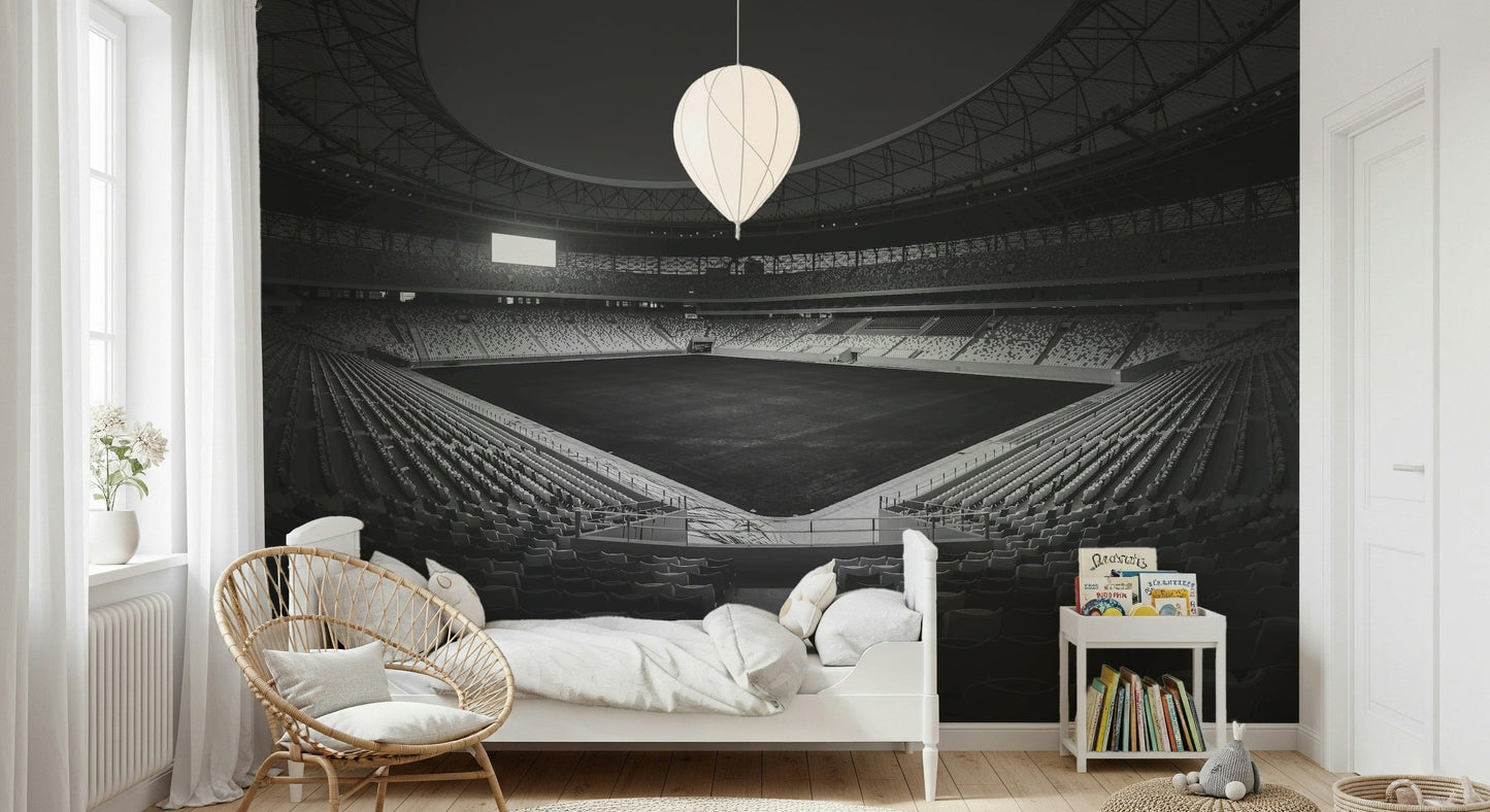 Stadium in Monochrome Wall Mural -2178152