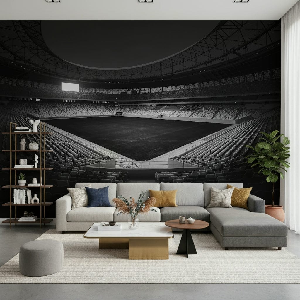 Stadium in Monochrome Wall Mural -2178152