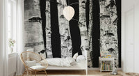 Stunning woods mural showcasing vertical birch trunks in monochrome.