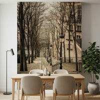 Sacré-Cœur Steps Mural Winding stone pathway winter mood wallpaper.