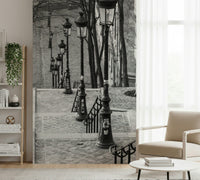Montmartre steps Wall Mural