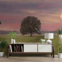 A classic night sky wallpaper for walls.

