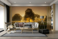 Gentle golden and pink tones creating a tranquil atmosphere

