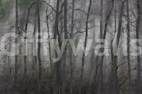 Mysterious Forest Landscape | Gray Trees in Atmospheric Stillness | Nature Photography Wall Mural