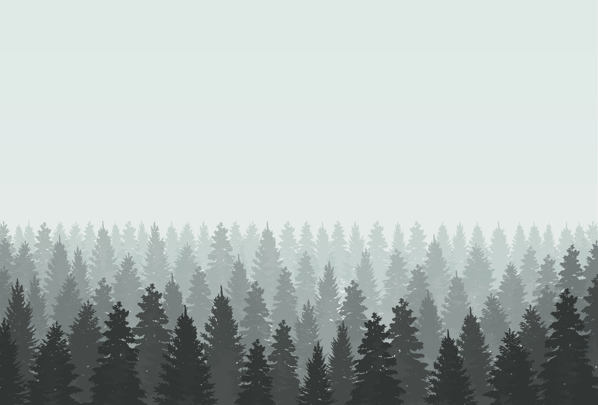 Dark Foggy Forest Tree Wallpaper in your room — zoomed