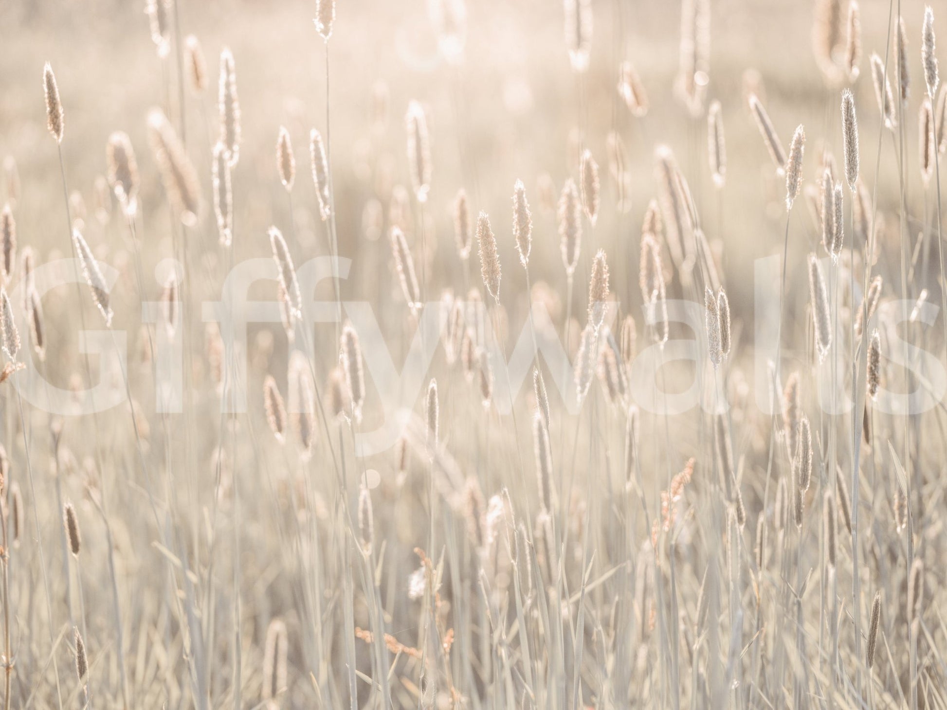 Nature's Bliss Wall Mural