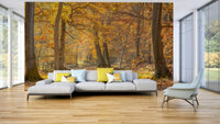 Artistic representation of an autumn forest
