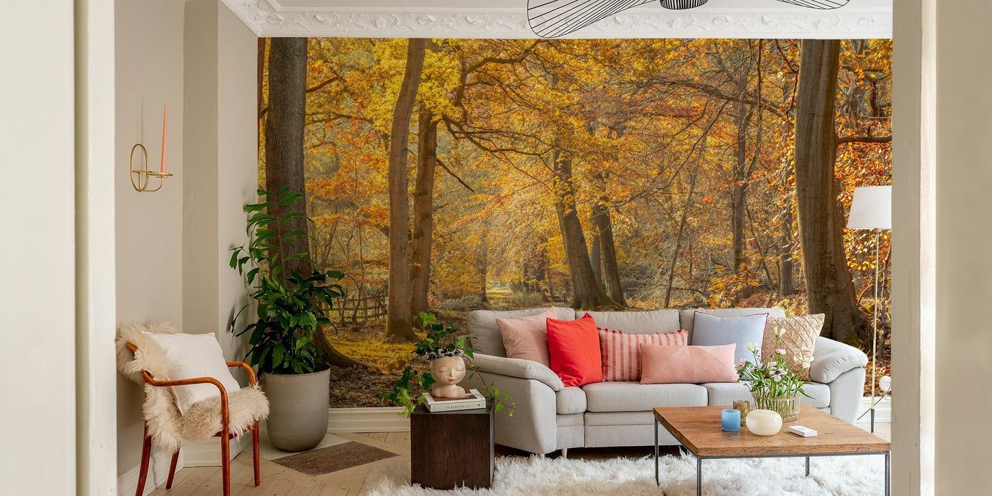 Sunlight filtering through the canopy

