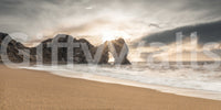 Nature's Gateway Wall Mural