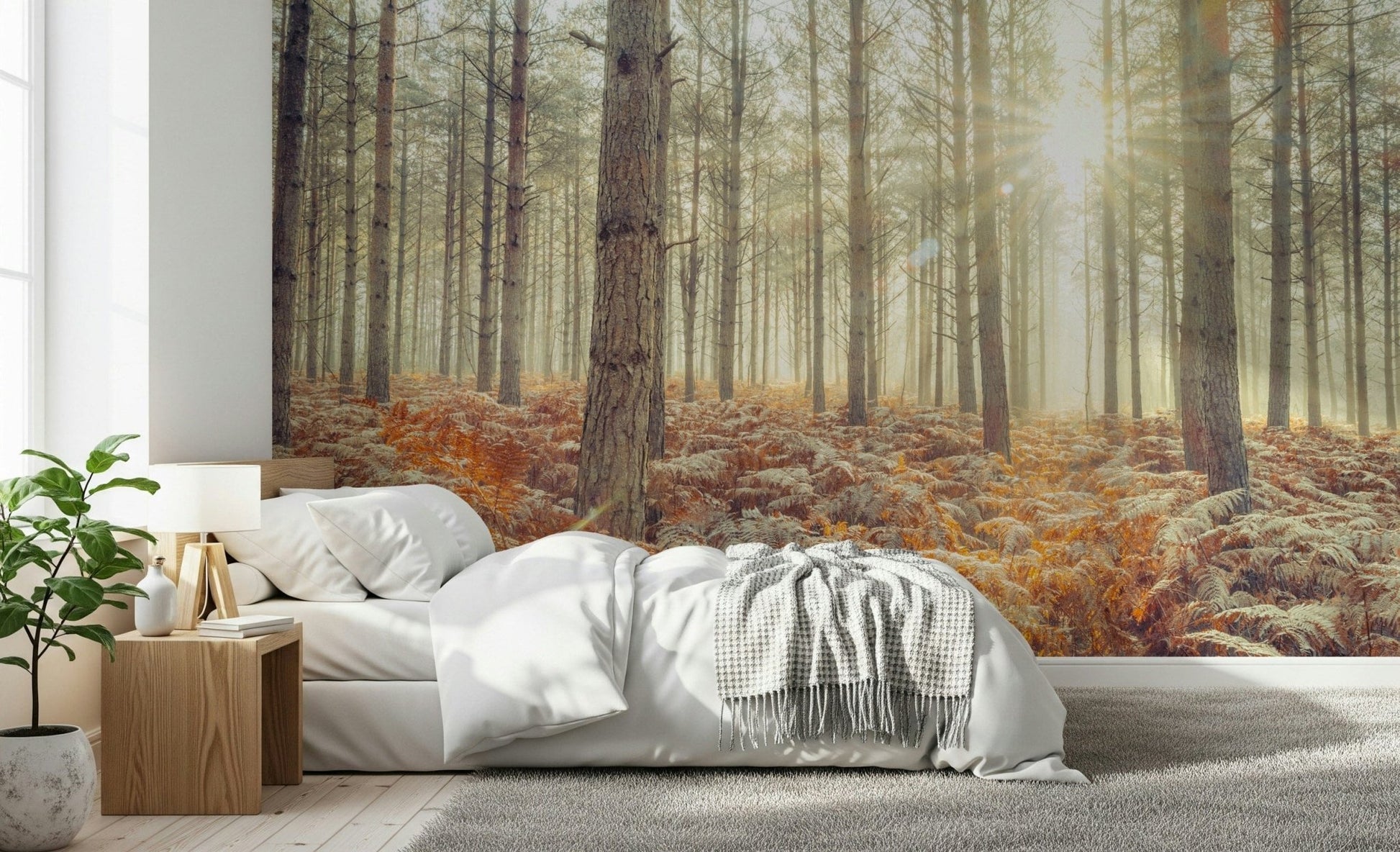 Large scale Nature's Spotlight Wall Mural used in a contemporary dining room.