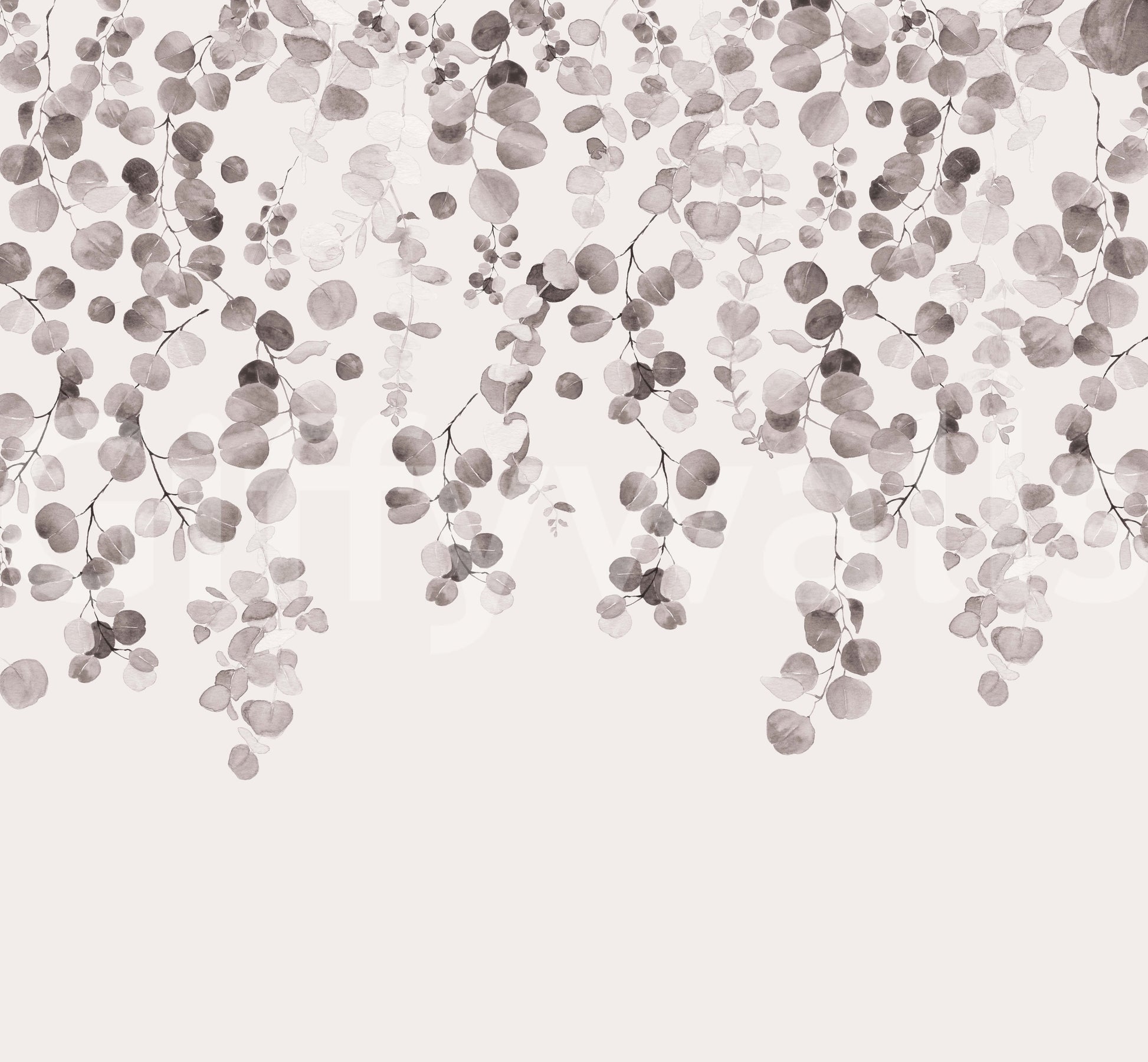 Soft grey eucalyptus wallpaper for walls

