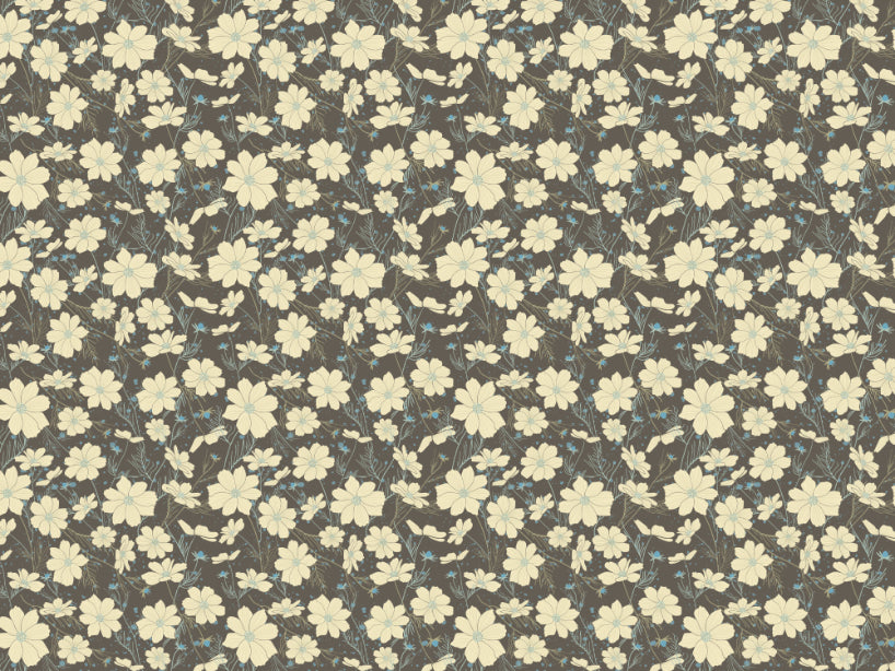 Cosmos Flower Gray Wallpaper in your room — zoomed