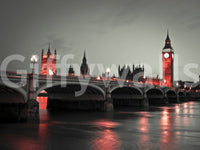 Night Magic Wall Mural