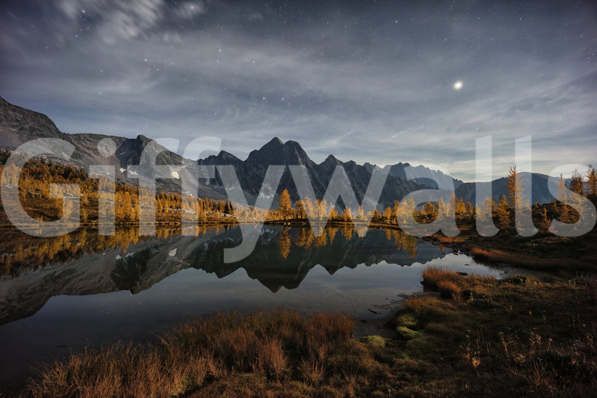 Scenic night water mural in lounge, dark blue color palette, modern wall decor backdrop