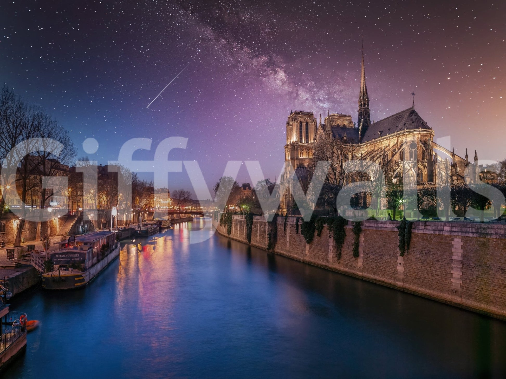 Majestic religious building style via Notre-Dame Starry Night wallpaper installation.