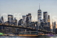 NYC Skyline at Twilight Wall Mural