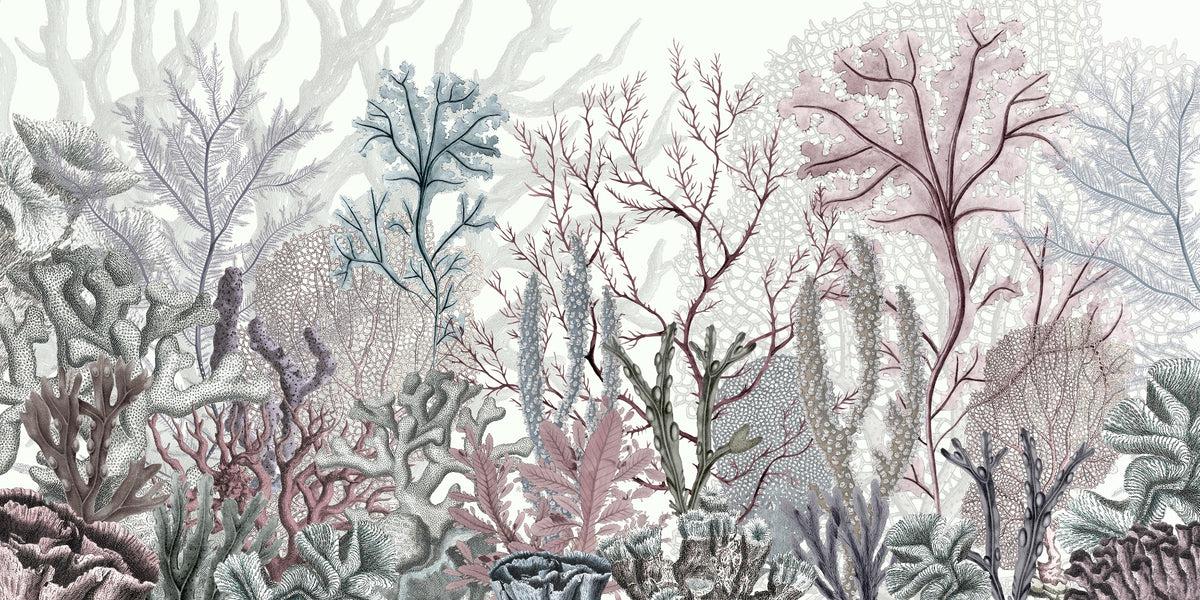 Underwater Coral Reef Wallpaper Murals in your room — zoomed