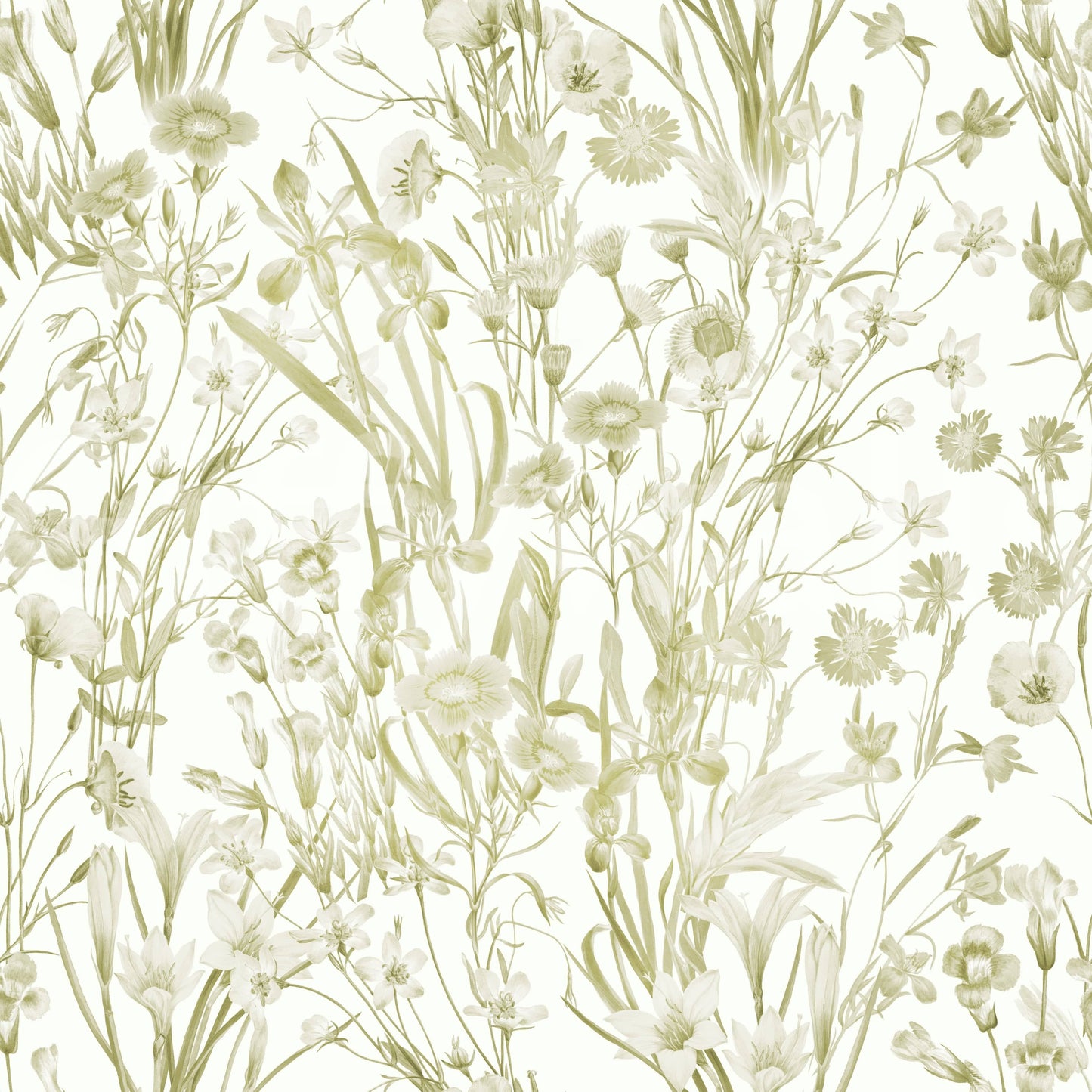 High-quality image of the summer meadow wallpaper

