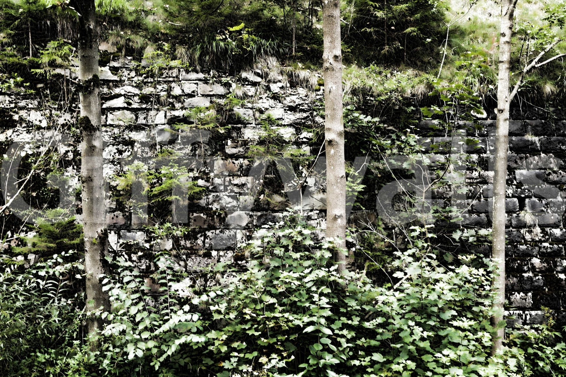 Stone wall with greenery wallpaper in entryway, minimalist modern décor