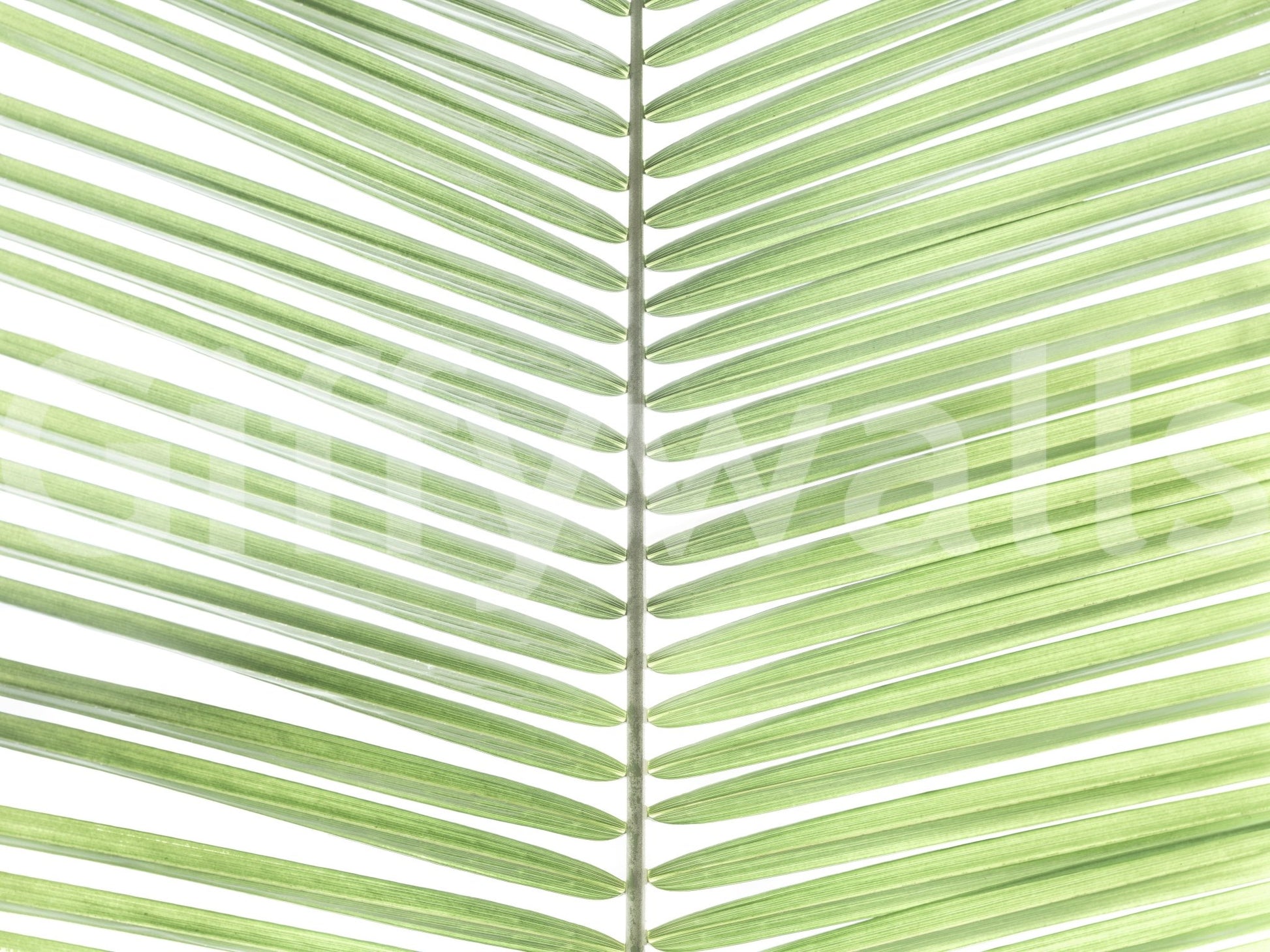 Tropical greenery mural for modern interiors

