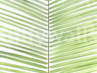 Tropical greenery mural for modern interiors

