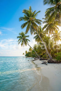 Palm Paradise Walls Wall Mural