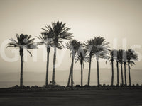 Ideal for creating a relaxing environment in bedrooms or living rooms

