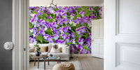 Wall mural with blooming violet and lavender pansies
