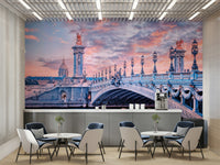 Parisian landmark bridge in evening light

