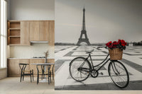 Dreamy destination decor Parisian Love Story wall mural for couple suite renovation.