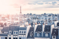 Iconic Eiffel Tower backdrop Paris interior wallcovering