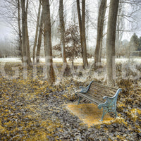 Melancholy park fixture wall mural, late autumn atmosphere.