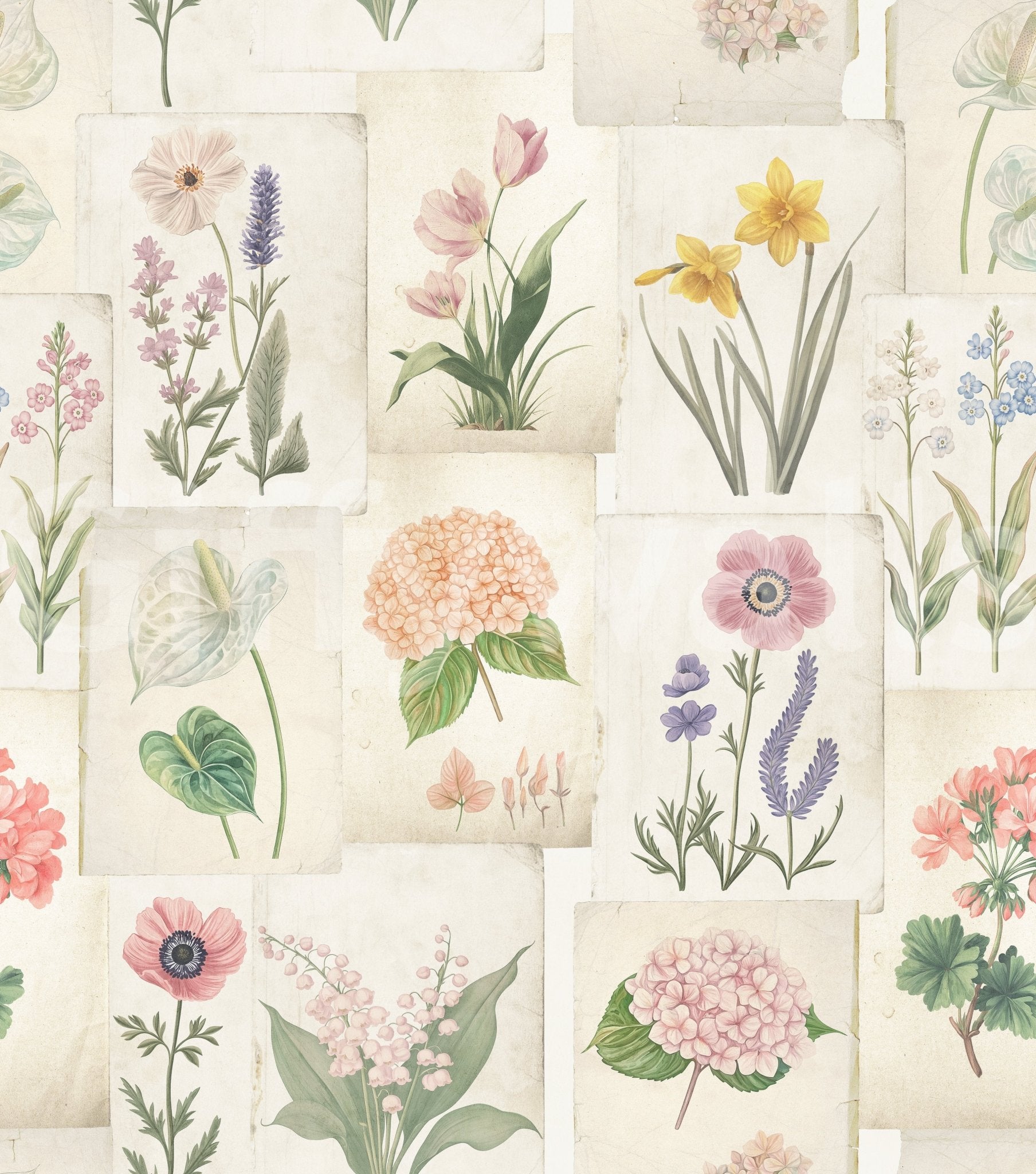 Pastel Floral Botanical Collage Wallpaper⁠
