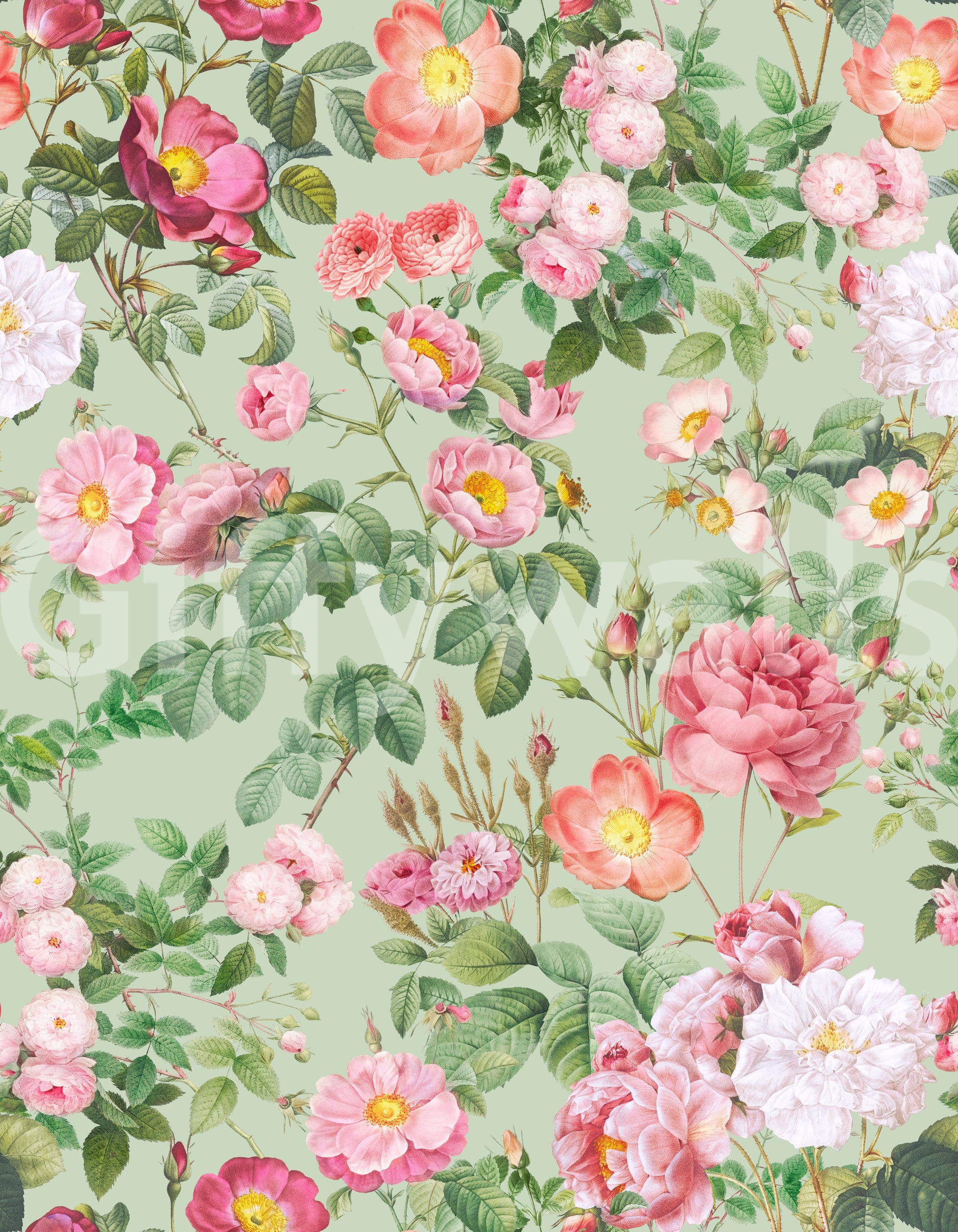 Soft floral wallpaper with pastel blooms and gentle botanical designs.

