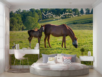 Pastoral Equine Duo Wall Mural