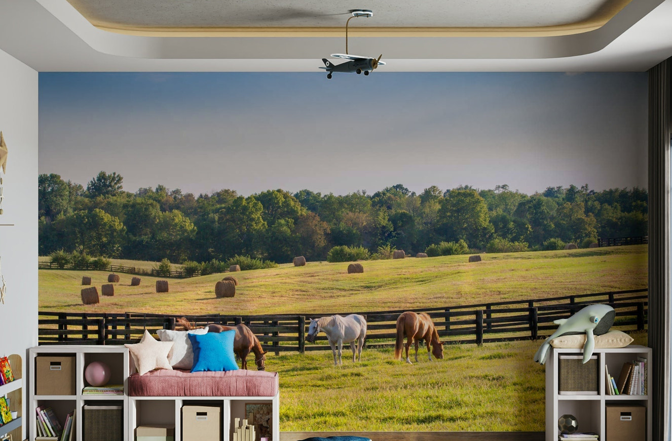 Pastoral landscape wallpaper with wooden fence
