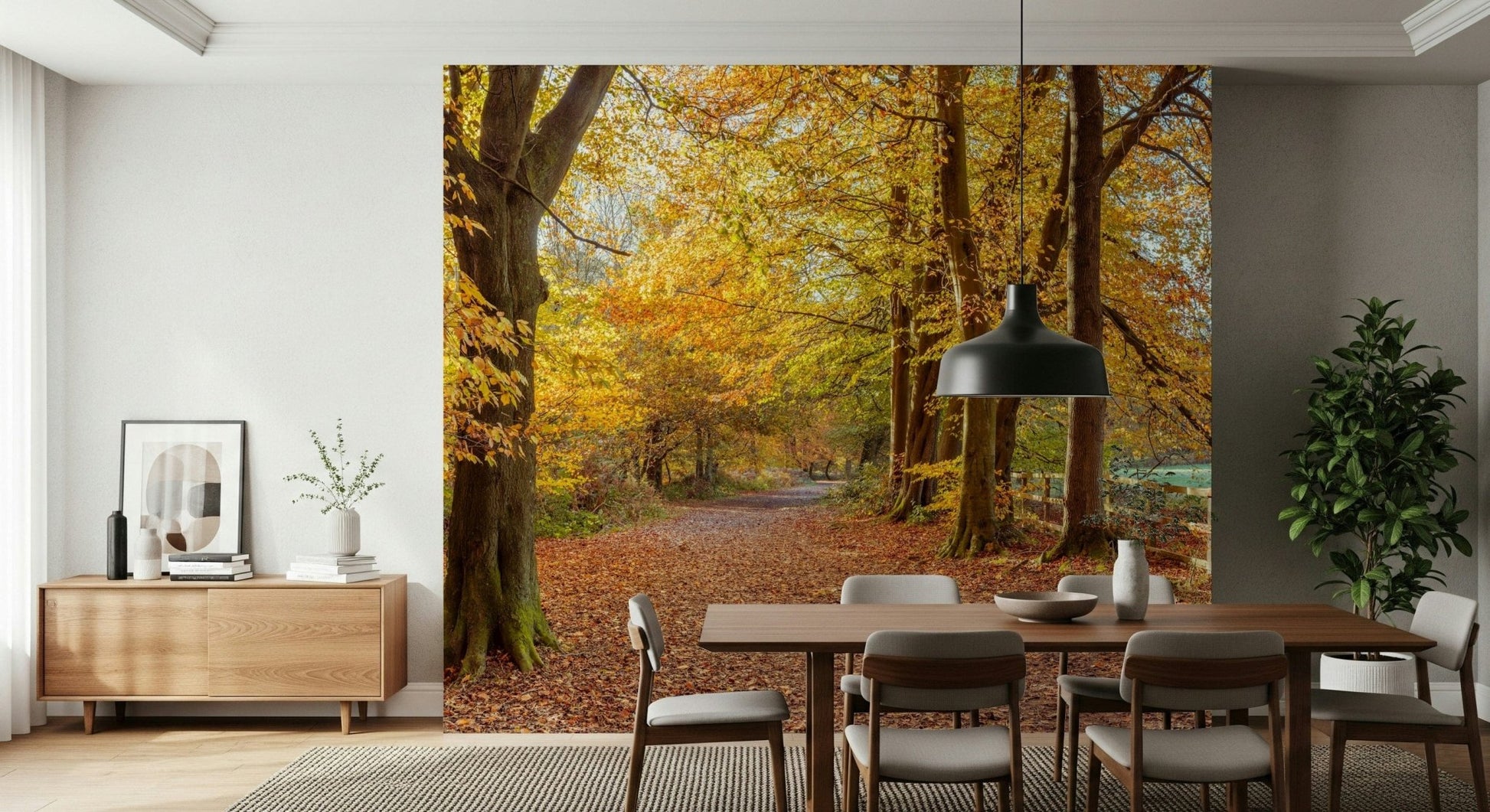Rustic forest path wallpaper for walls, gorgeous fall atmosphere design.