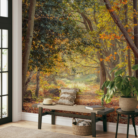 Serene autumn forest path mural with golden fall colors

