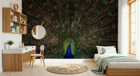 Ornamental peacock wallpaper creating a sophisticated, exotic vibe.