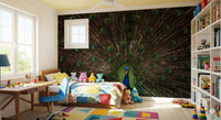 Peacock Pride wall covering adding a bold, vibrant touch to any room.