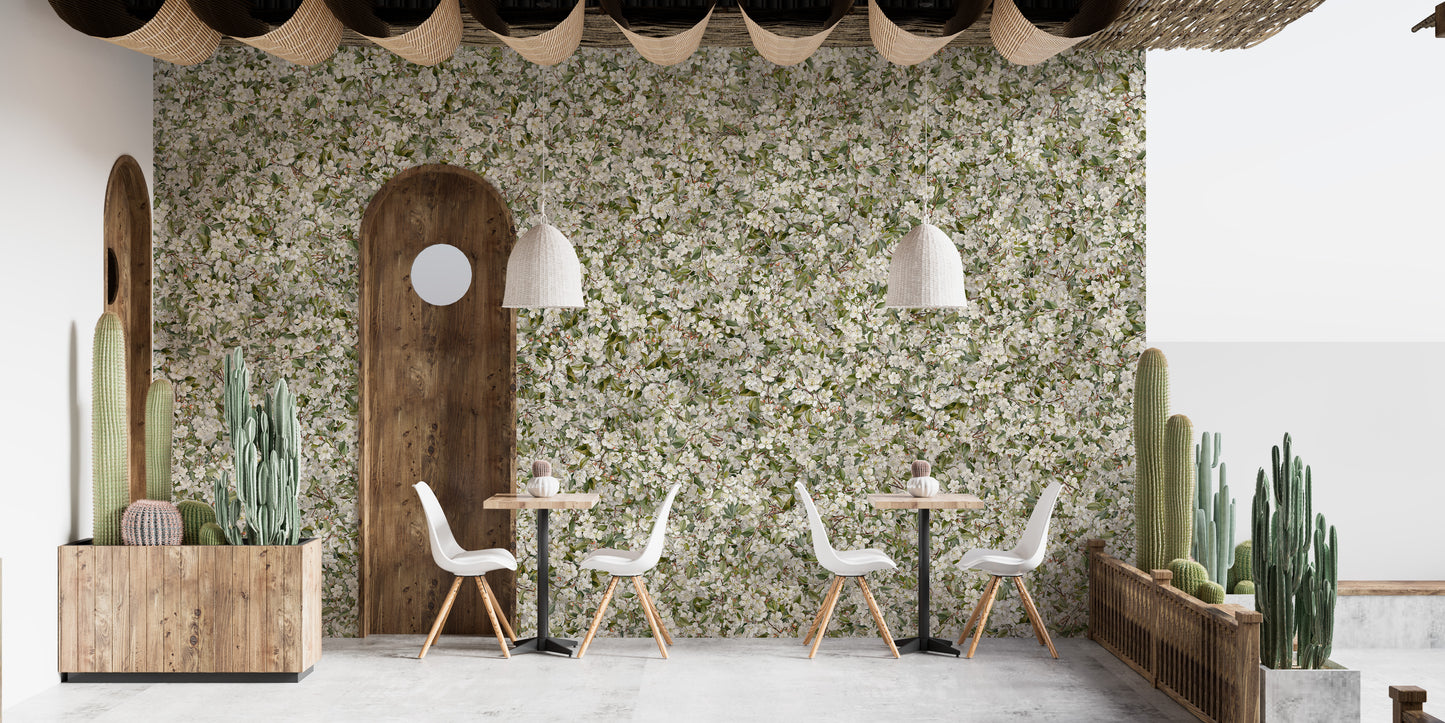 Pear Blossom White Flowers wallpaper mural in a cafe with white chairs, potted cacti and an arched wood door