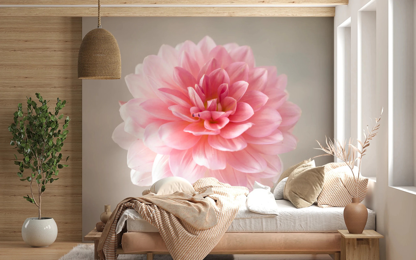 Pink Dahlia Wall Mural