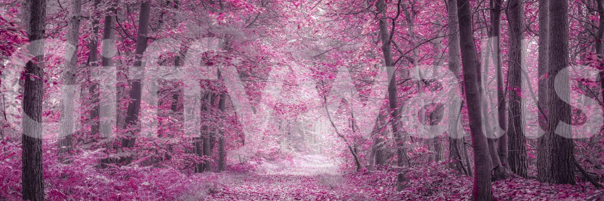 It gives the illusion of a portal into an enchanted world.
