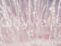 Pink Haze Wall Mural