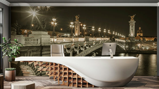 Parisian landmark with beautifully lit lamps on the bridge

